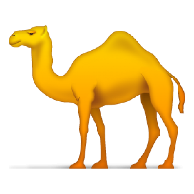 駱駝_沙漠之舟_camel_camel