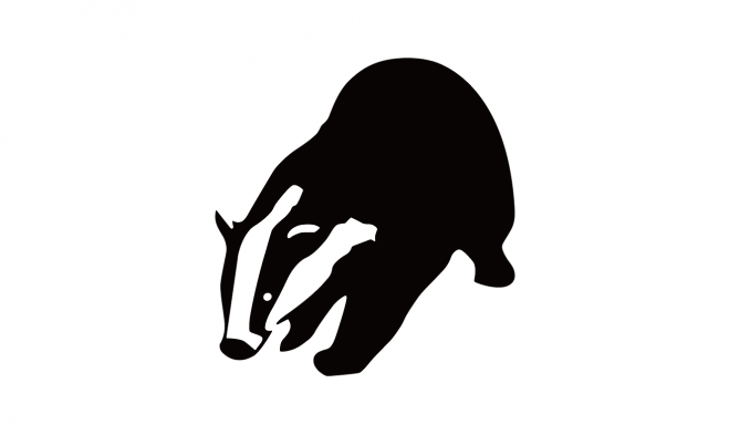 獾_badger_badger