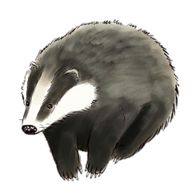 獾_badger_badger