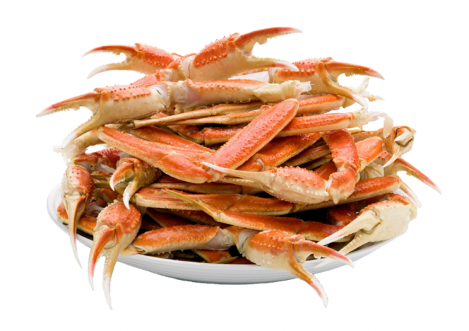 螃蟹_蟹_crab_crab