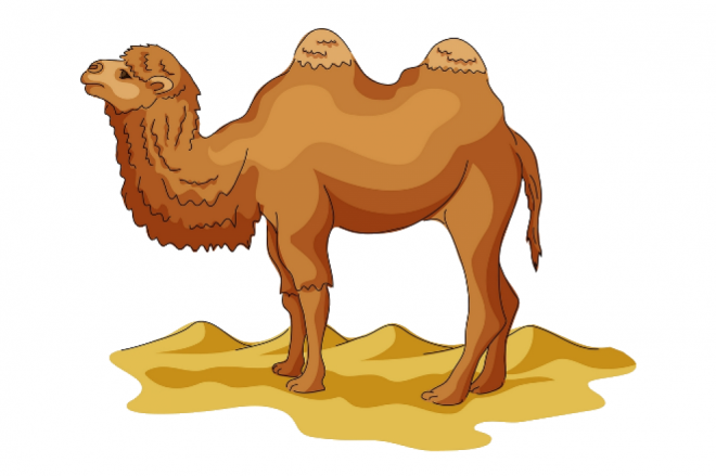 駱駝_沙漠之舟_camel_camel
