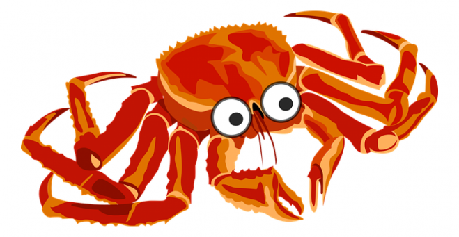 螃蟹_蟹_crab_crab