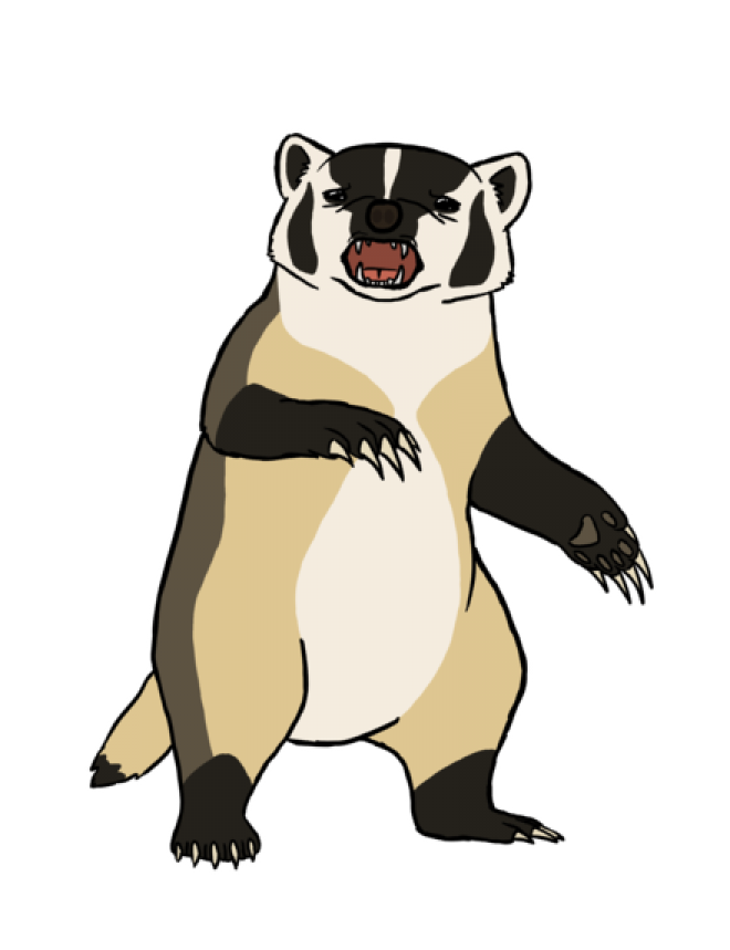 獾_badger_badger