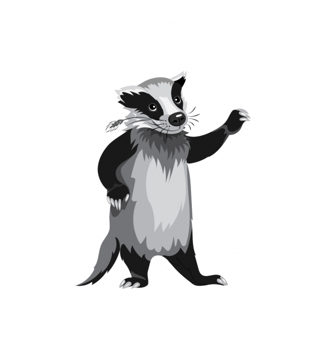獾_badger_badger