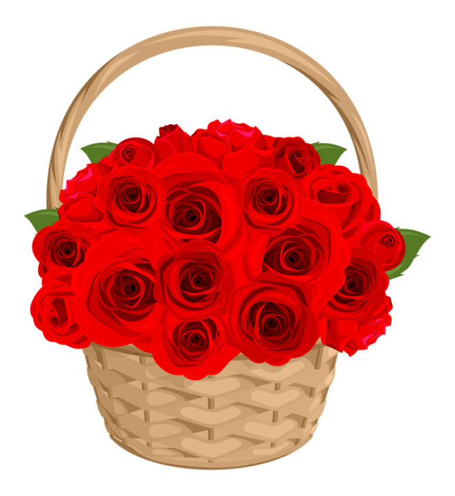 玫瑰_蔷薇_花朵_花_玫瑰花_rose_rose