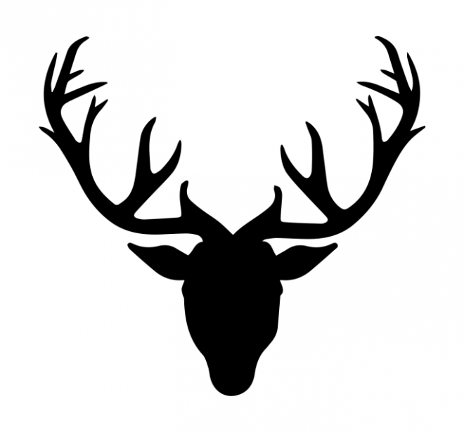 麋鹿_駝鹿_罕達犴_moose_moose