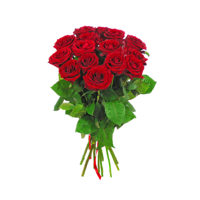 玫瑰_蔷薇_花朵_花_玫瑰花_rose_rose
