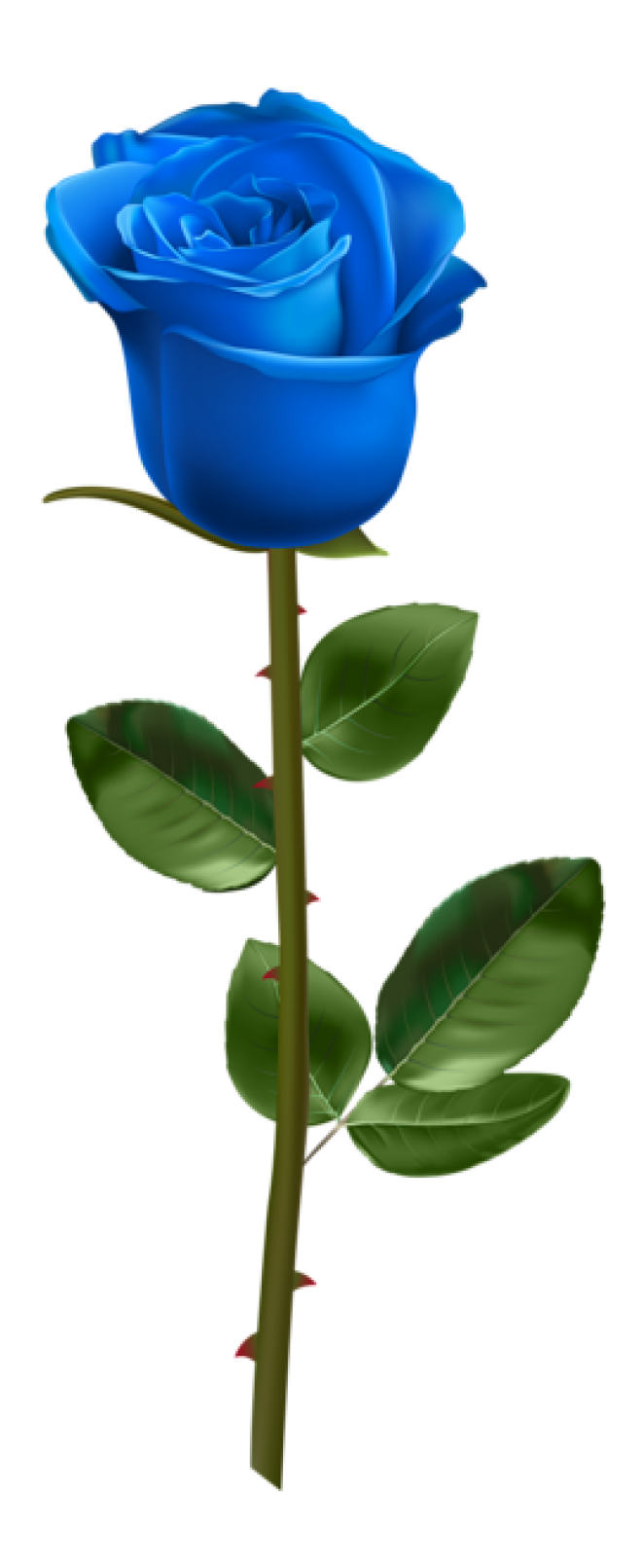 玫瑰_薔薇_花朵_花_玫瑰花_rose_rose