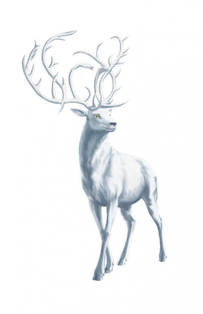 麋鹿_駝鹿_罕達犴_moose_moose