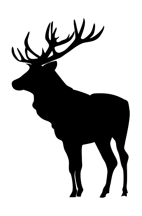 麋鹿_駝鹿_罕達犴_moose_moose