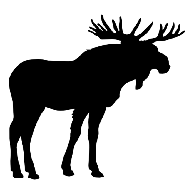 麋鹿_駝鹿_罕達犴_moose_moose