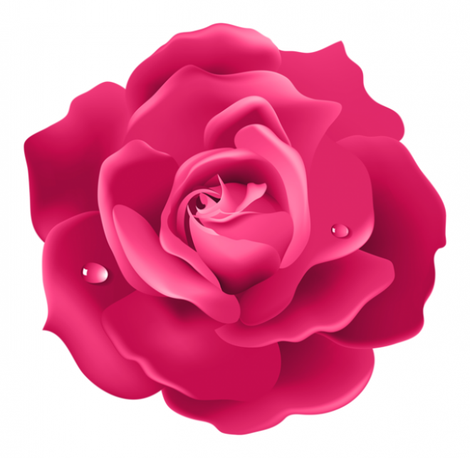 玫瑰_薔薇_花朵_花_玫瑰花_rose_rose