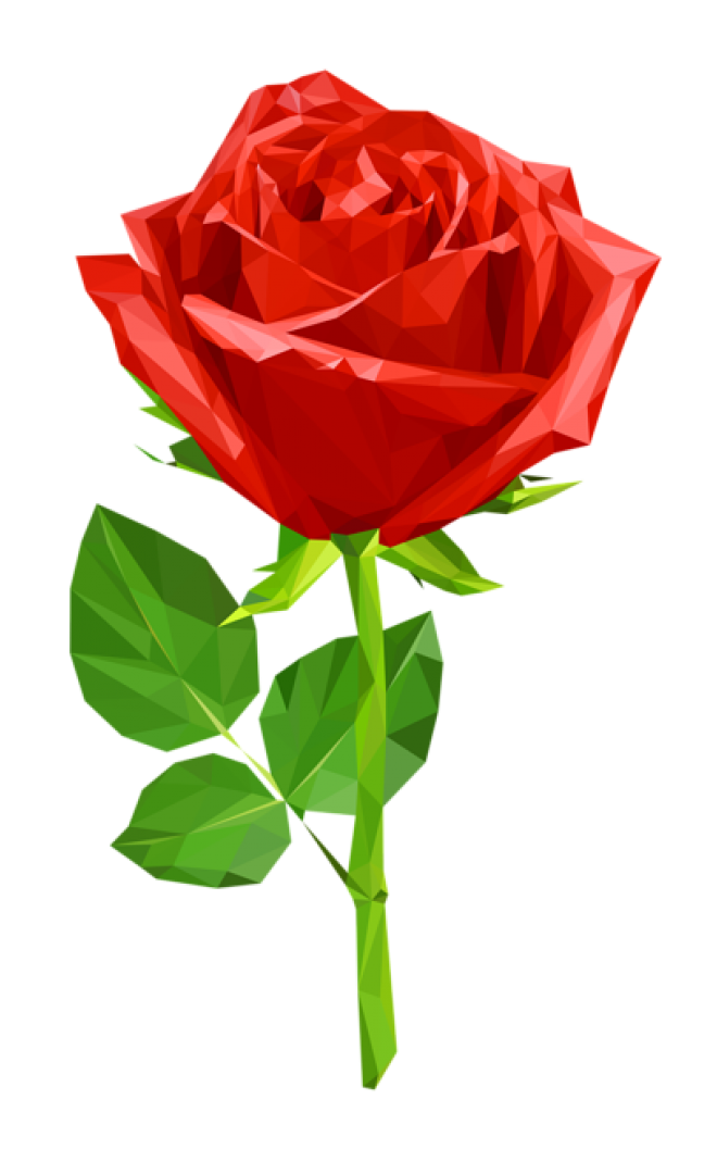 玫瑰_薔薇_花朵_花_玫瑰花_rose_rose