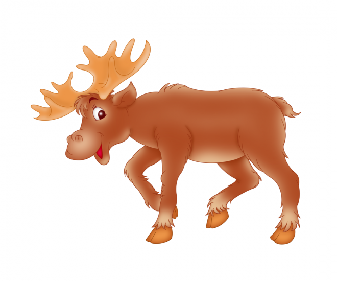 麋鹿_駝鹿_罕達犴_moose_moose