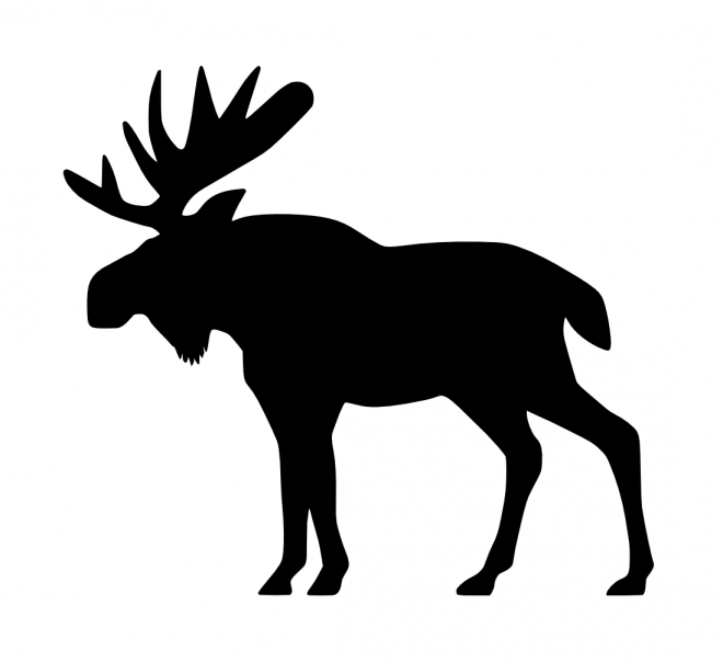 麋鹿_駝鹿_罕達犴_moose_moose