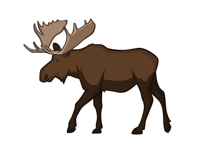 麋鹿_駝鹿_罕達犴_moose_moose