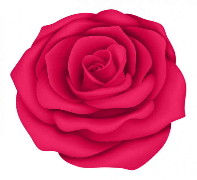 玫瑰_薔薇_花朵_花_玫瑰花_rose_rose
