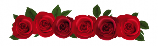 玫瑰_蔷薇_花朵_花_玫瑰花_rose_rose