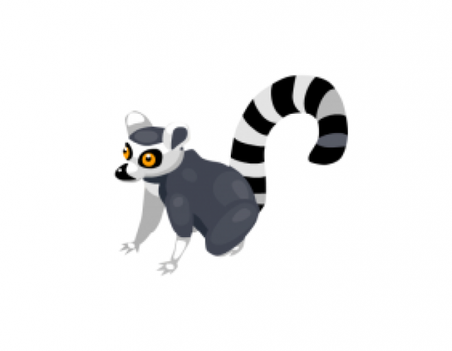 狐猴_猴子_lemur_lemur