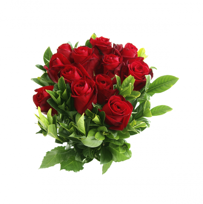 玫瑰_薔薇_花朵_花_玫瑰花_rose_rose