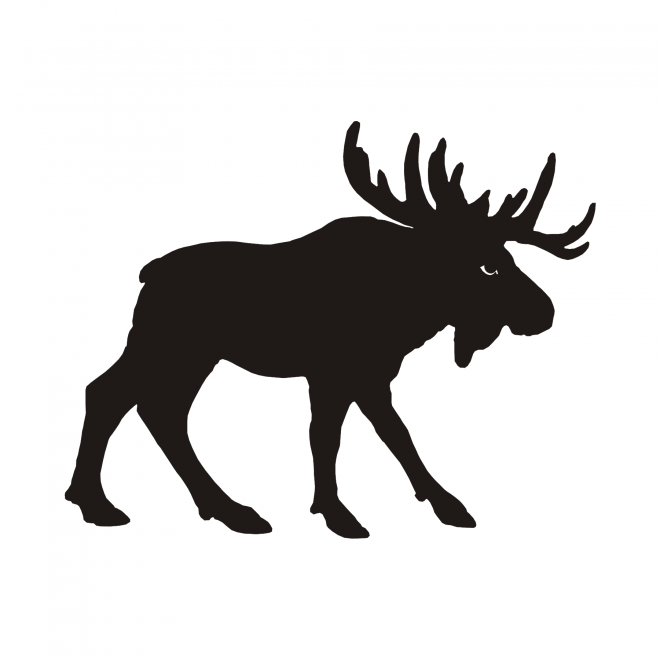 麋鹿_駝鹿_罕達犴_moose_moose