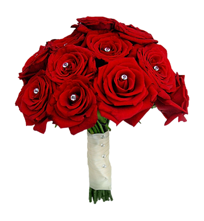 玫瑰_薔薇_花朵_花_玫瑰花_rose_rose