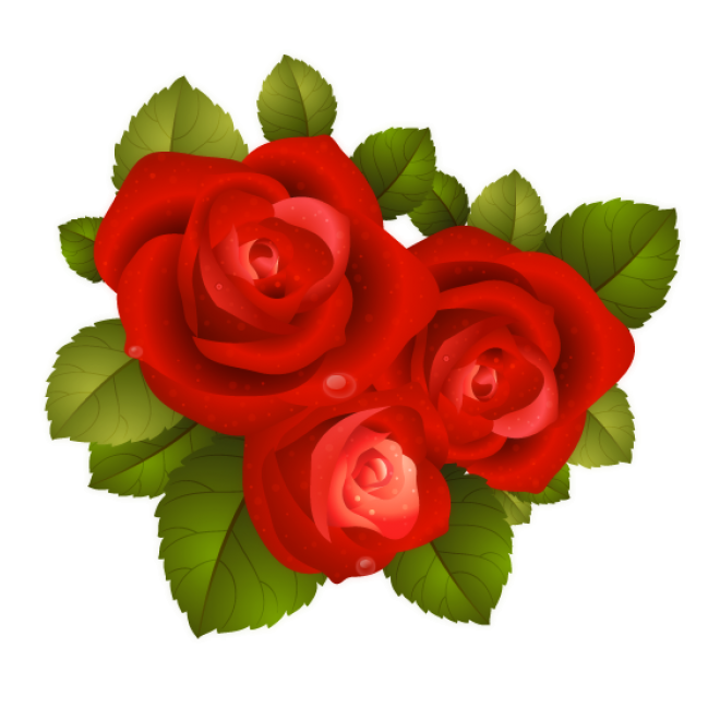 玫瑰_蔷薇_花朵_花_玫瑰花_rose_rose