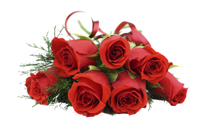 玫瑰_薔薇_花朵_花_玫瑰花_rose_rose