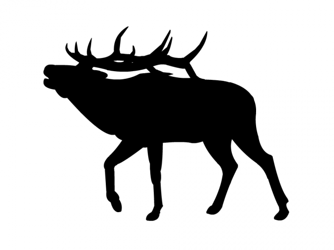 麋鹿_駝鹿_罕達犴_moose_moose