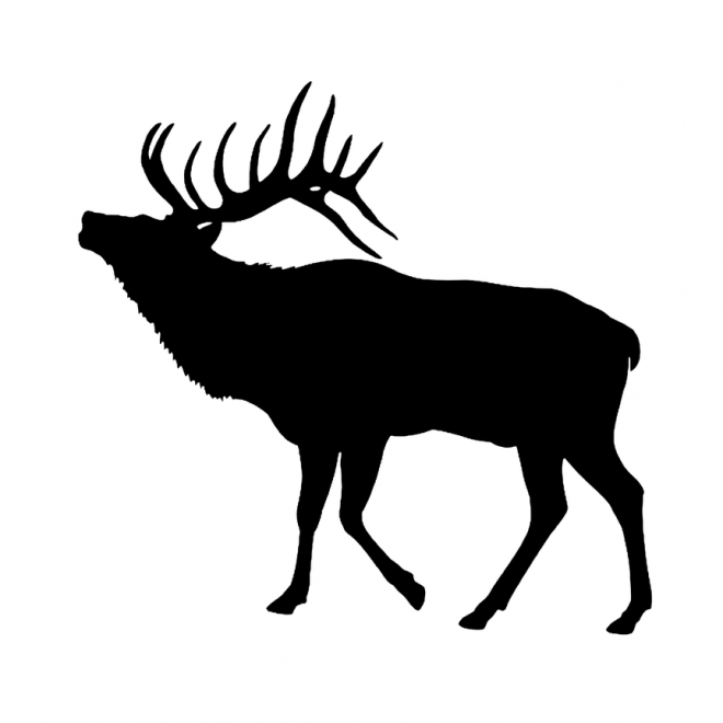 麋鹿_駝鹿_罕達犴_moose_moose