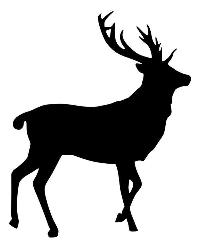 麋鹿_駝鹿_罕達犴_moose_moose