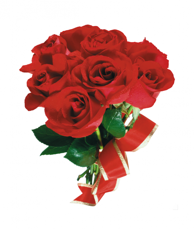 玫瑰_蔷薇_花朵_花_玫瑰花_rose_rose