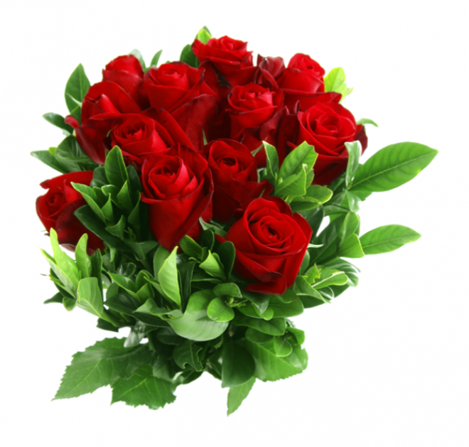 玫瑰_薔薇_花朵_花_玫瑰花_rose_rose