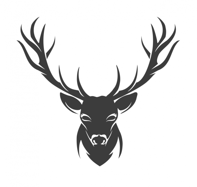 麋鹿_駝鹿_罕達犴_moose_moose