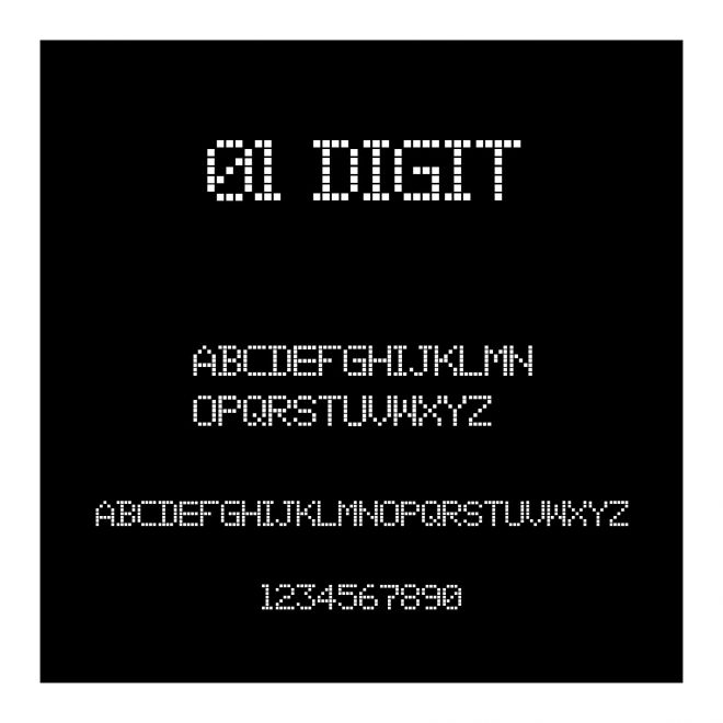 01 Digit