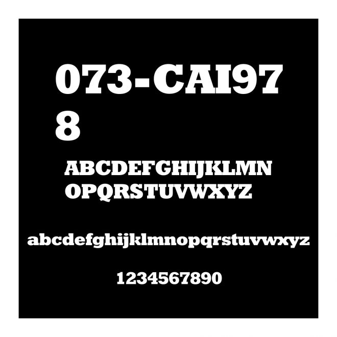 073-CAI978