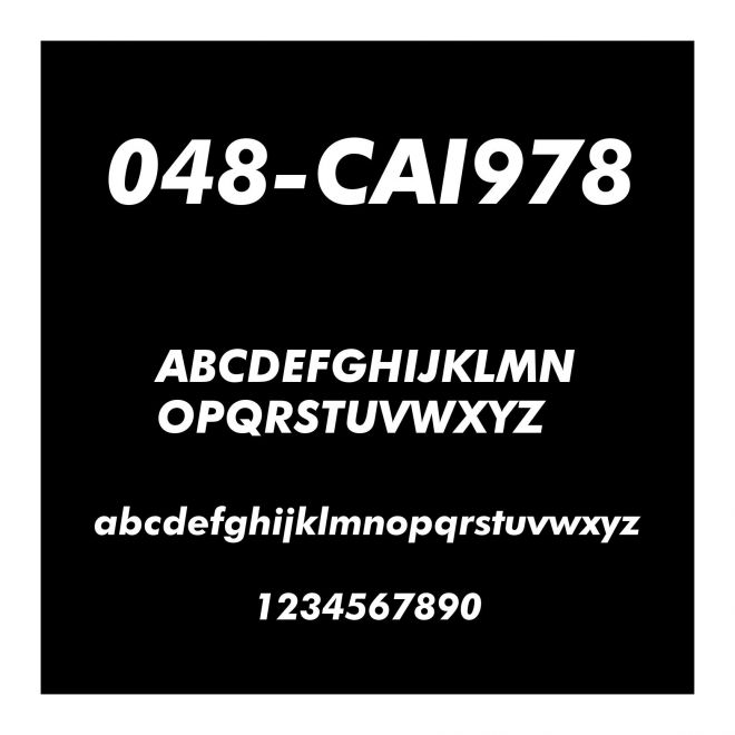 048-CAI978