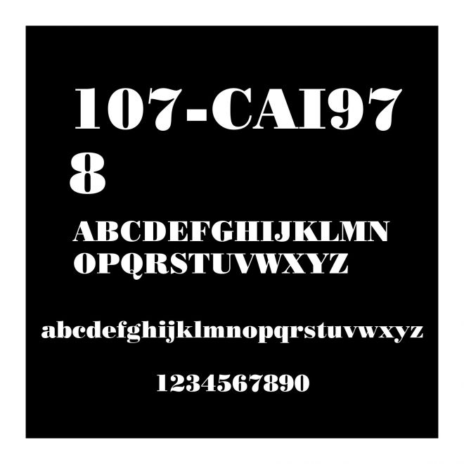 107-CAI978