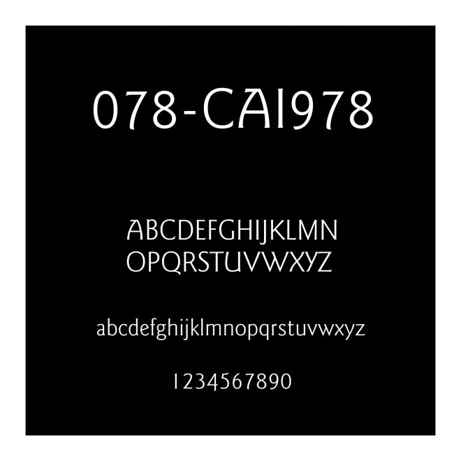 078-CAI978