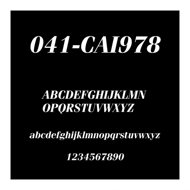 041-CAI978