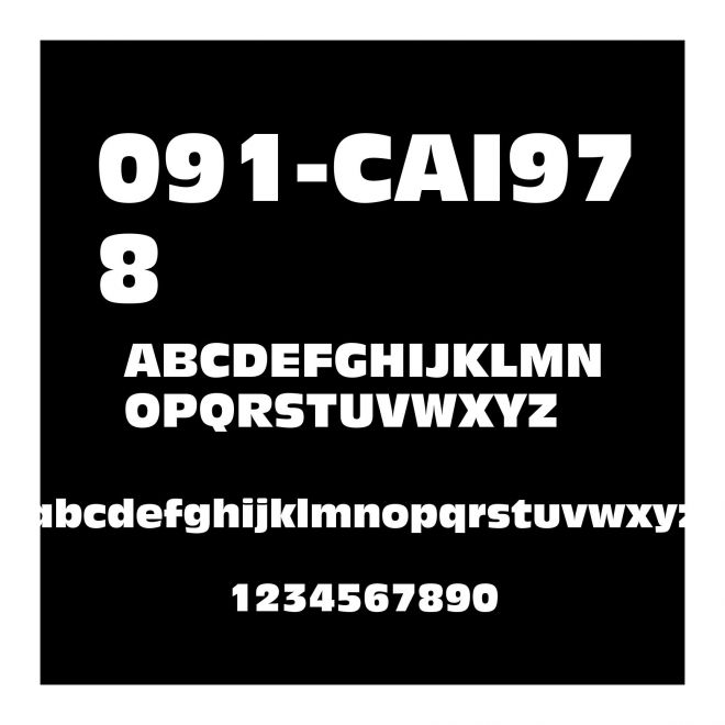091-CAI978