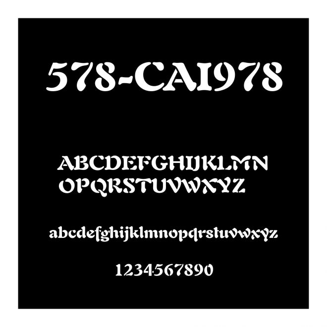 578-CAI978