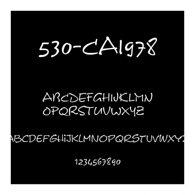 530-CAI978