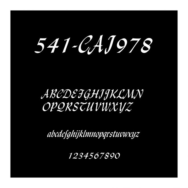 541-CAI978