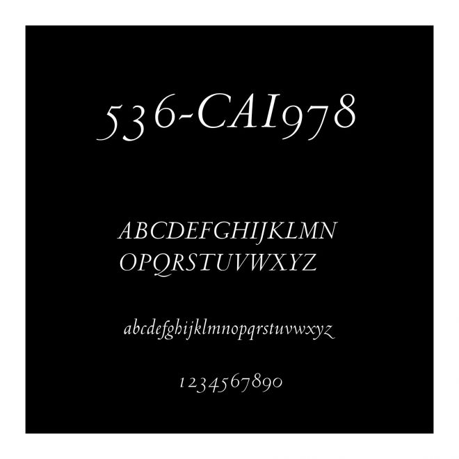 536-CAI978