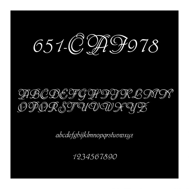 651-CAI978