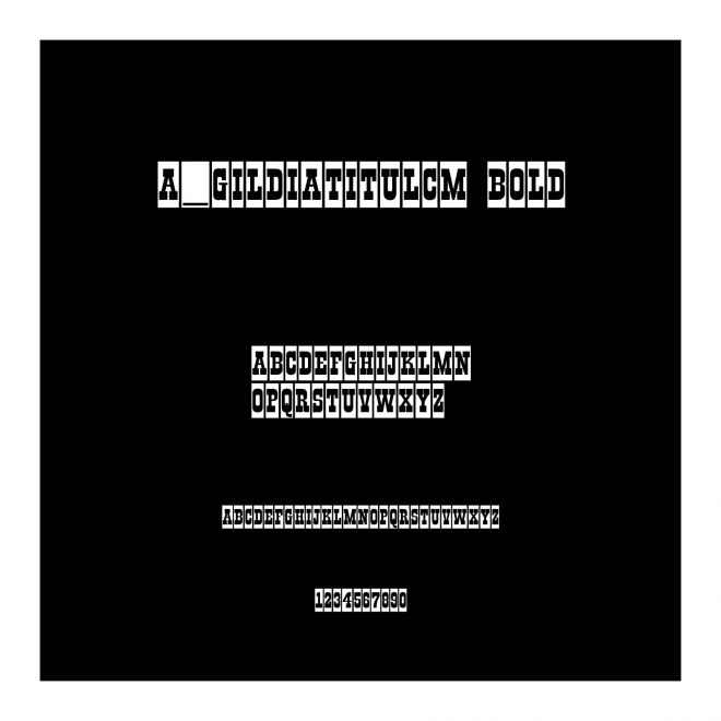 a_GildiaTitulCm Bold