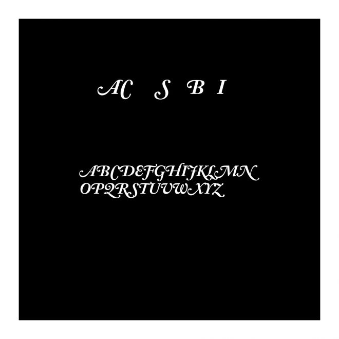 ACaslon-SwashBoldItalic