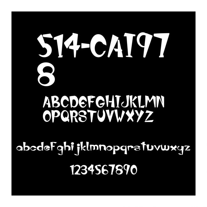 514-CAI978