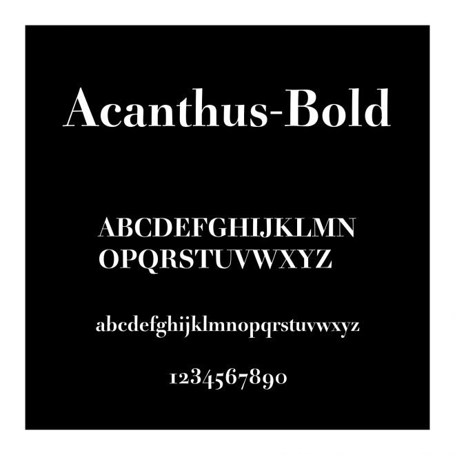 Acanthus-Bold
